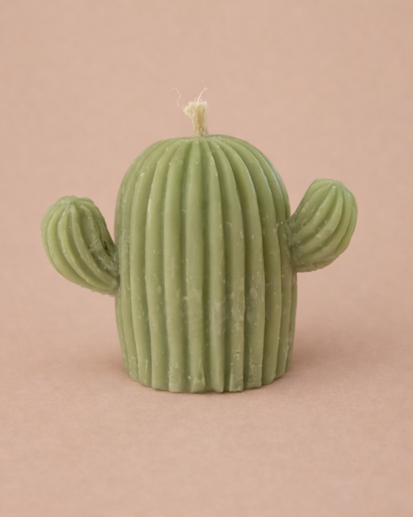 Vela Cactus (Paquete 10 piezas)