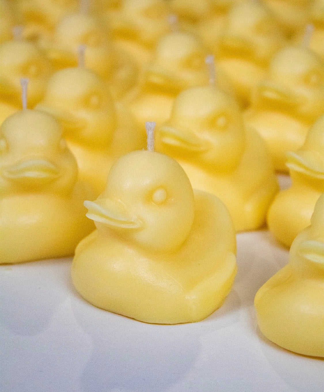 Vela patito (paquete 10 piezas)