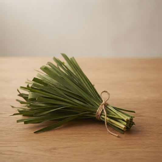 Fragancia Citronela